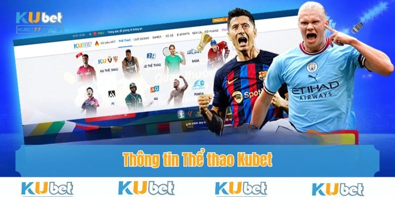 Sự thật đầy thú vị về sảnh cược Thể thao Kubet
